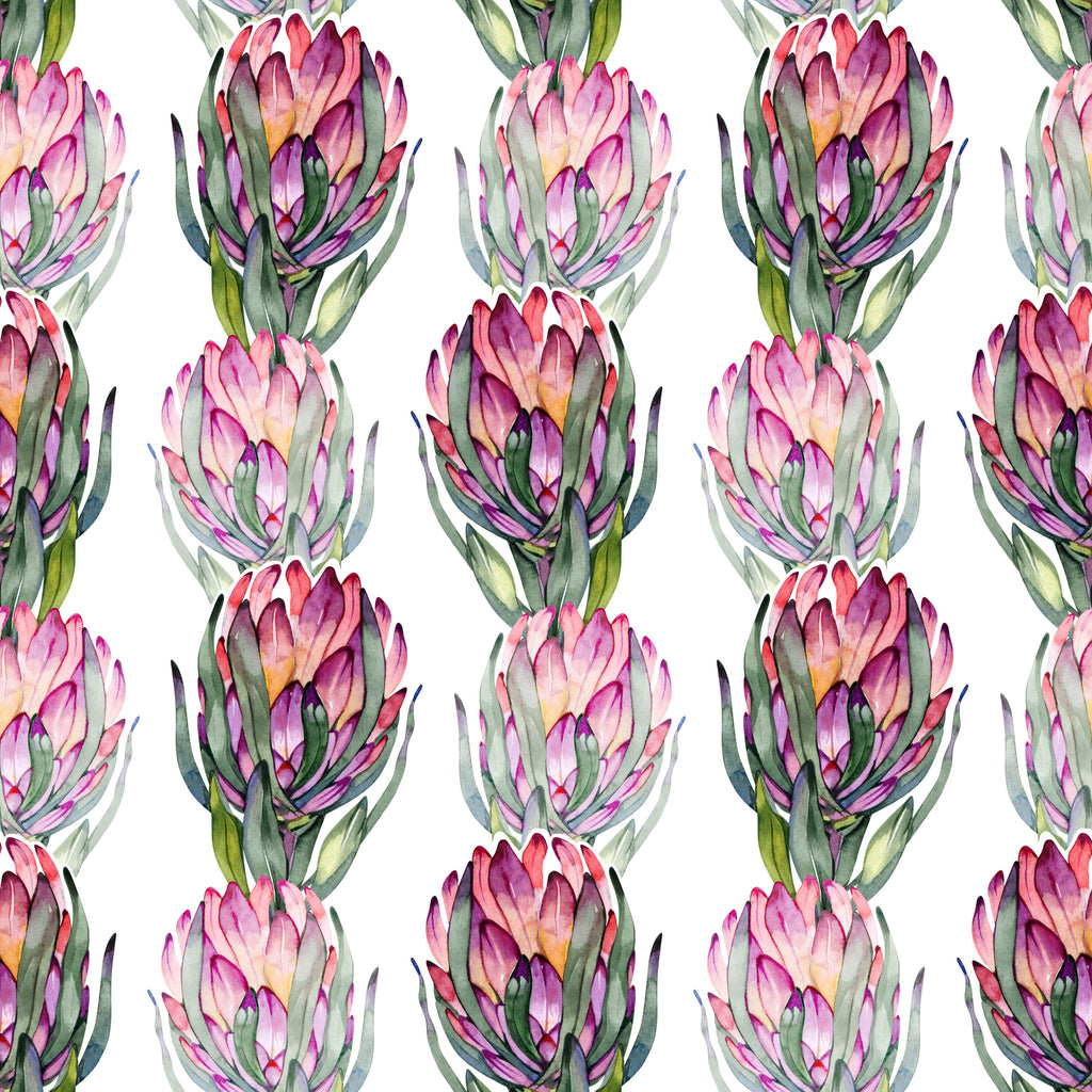 Protea Bloom, peel and stick wallpaper, vibrant watercolor protea blooms repeat across a clean white backdrop