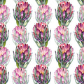 Protea Bloom