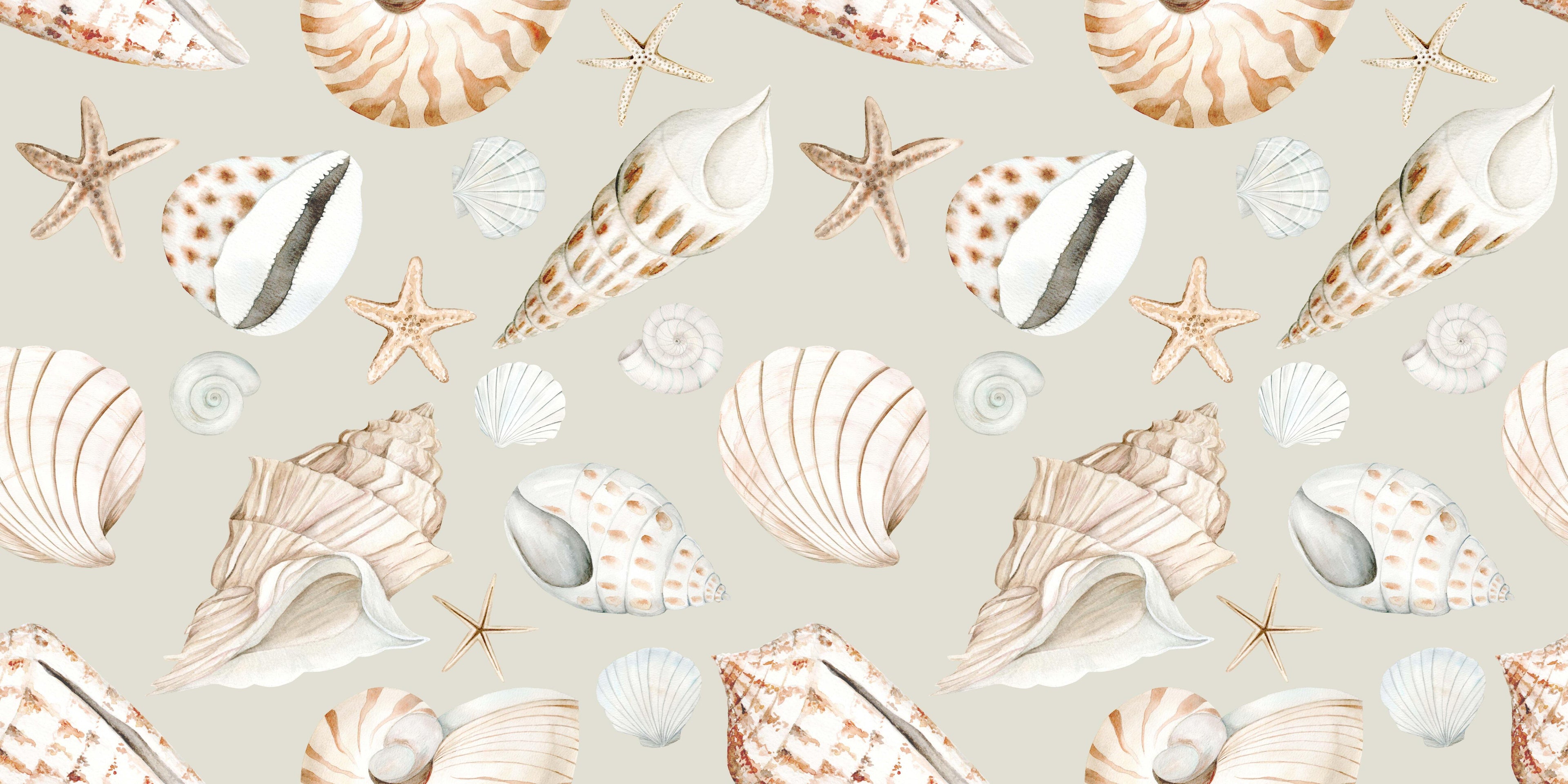 Coastal Treasures