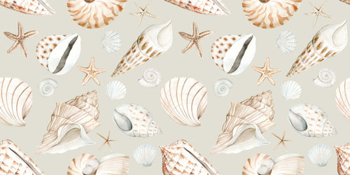 Coastal Treasures, peel and stick wallpaper, beautifully illustrated shells and starfish float across a soft neutral