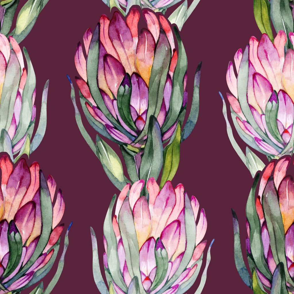 Plum Protea, peel and stick wallpaper, bold watercolor protea flowers bloom against a deep plum background