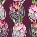 Plum Protea