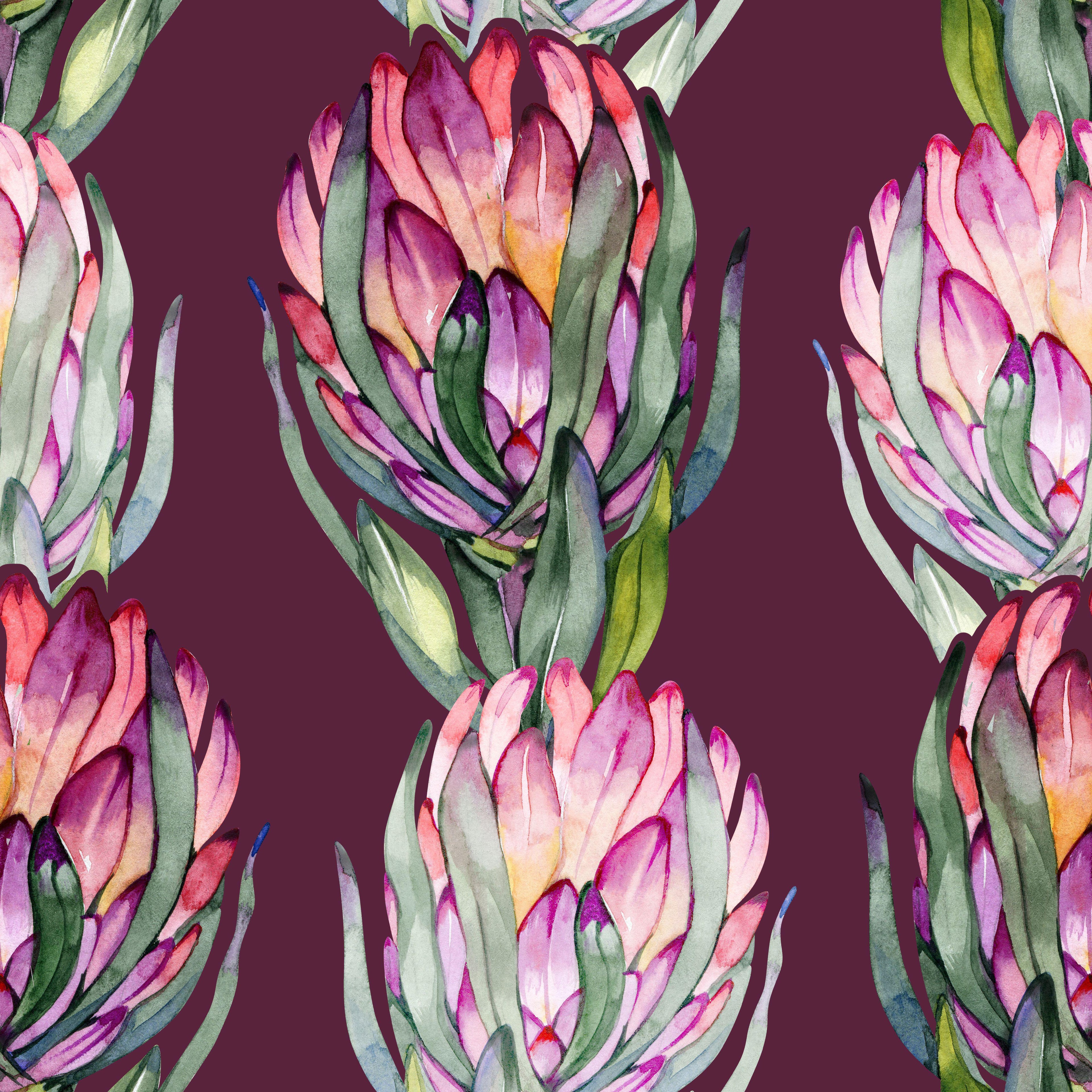 Plum Protea