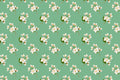 Orchard Blossom wallpaper with white blossoms on green