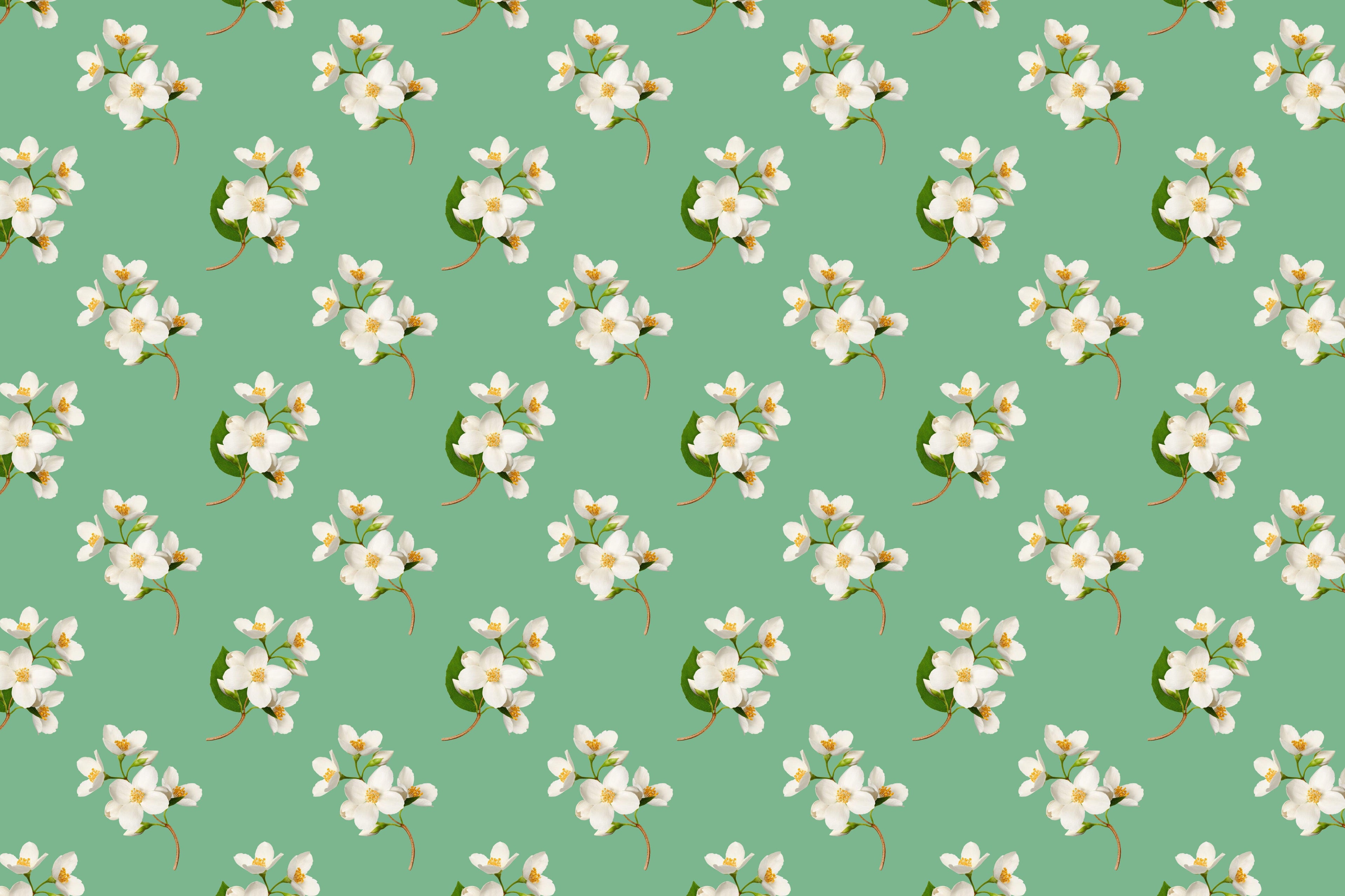 Orchard Blossom wallpaper with white blossoms on green