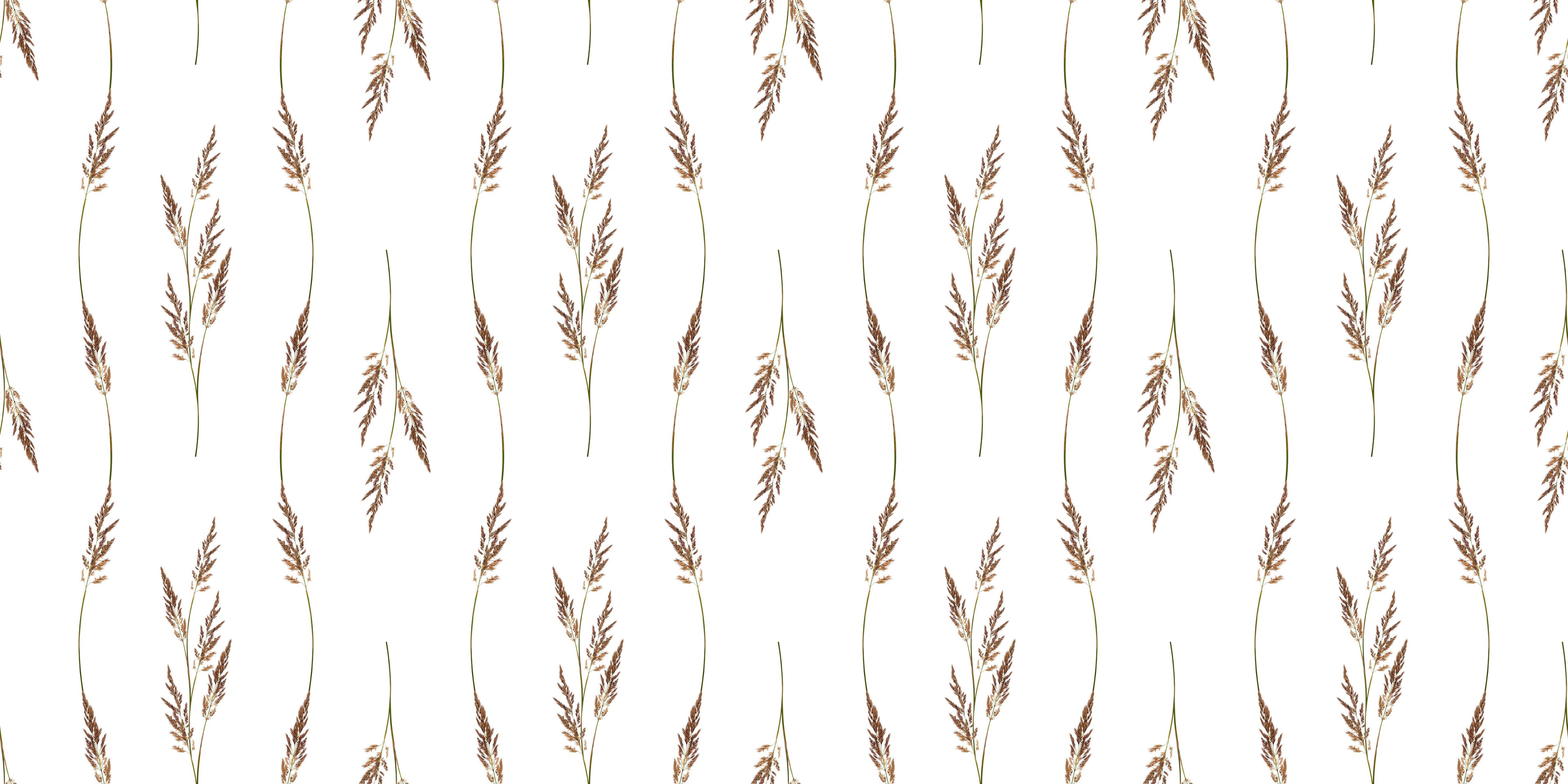 Prairie Stems