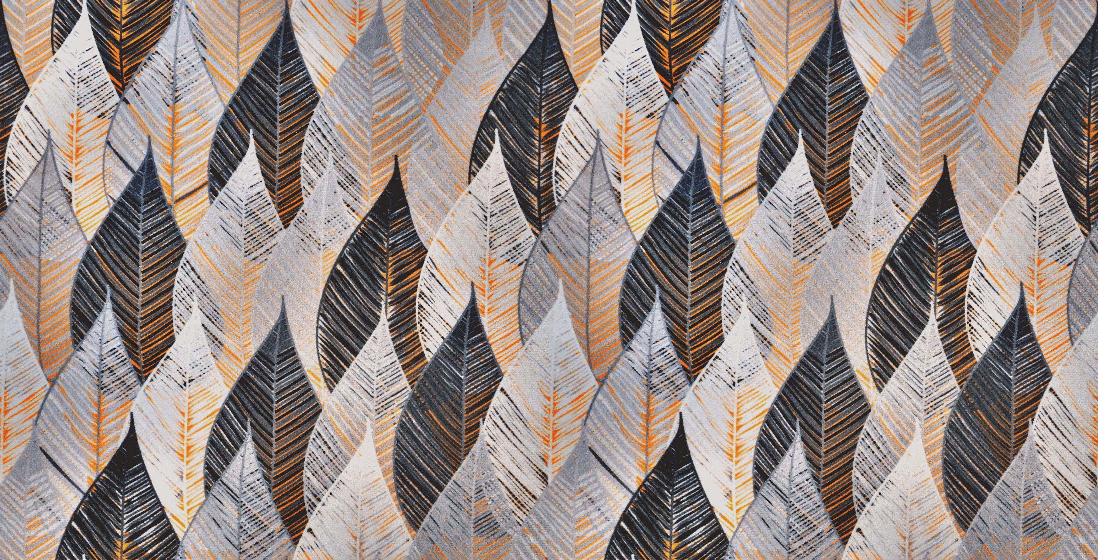 Autumn Feathers