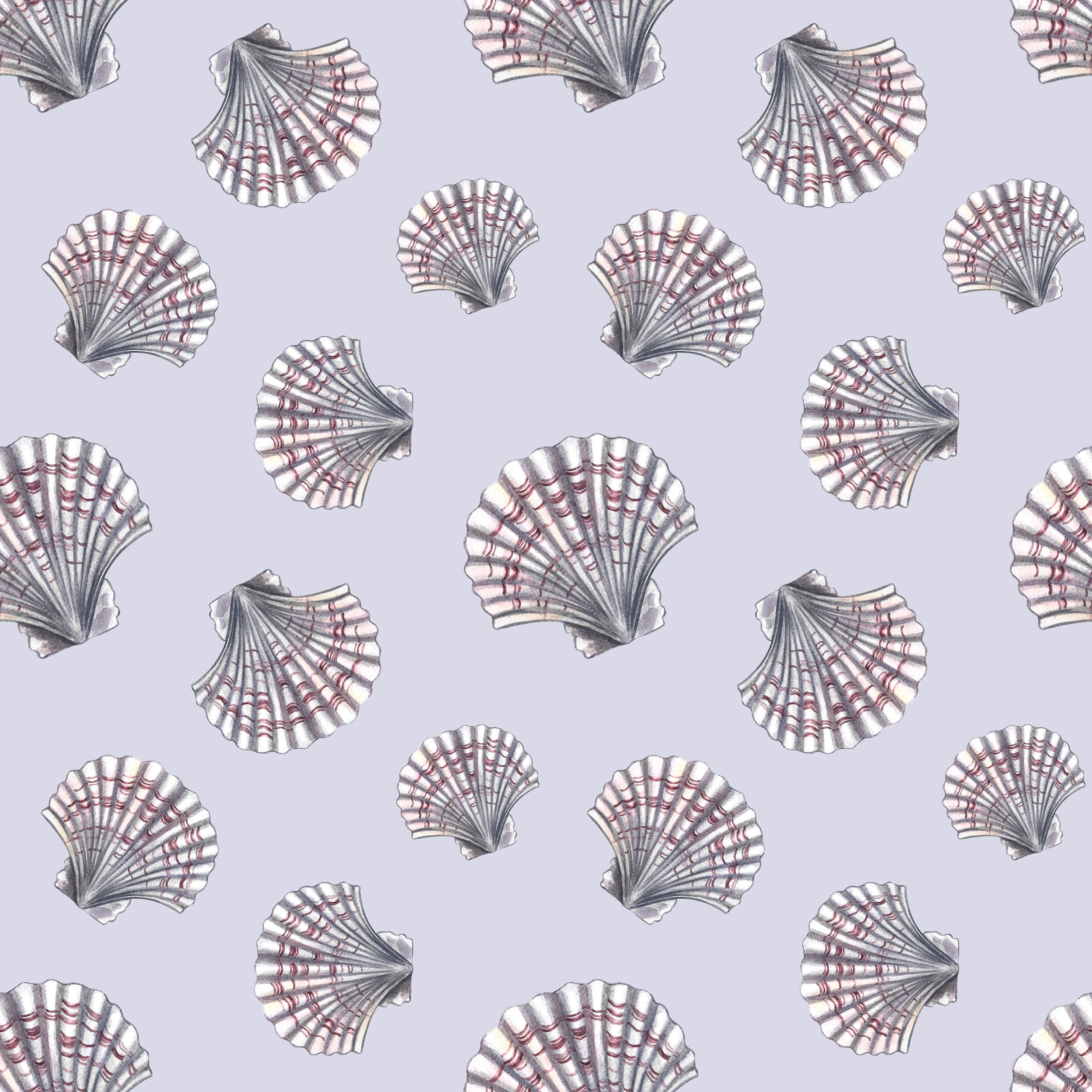 Silver Shells