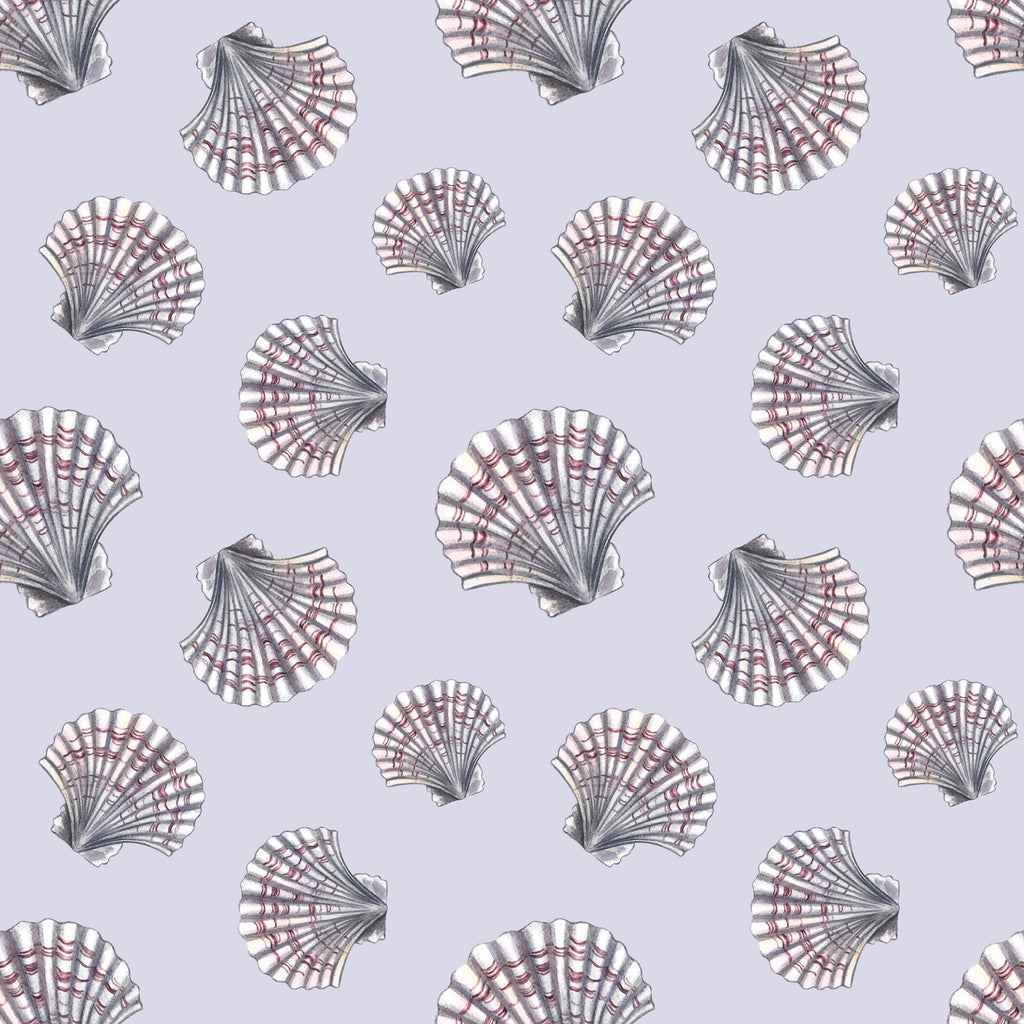 Scallop Drift, peel and stick wallpaper, this elegant scallop shell wallpaper features finely detailed illustrations