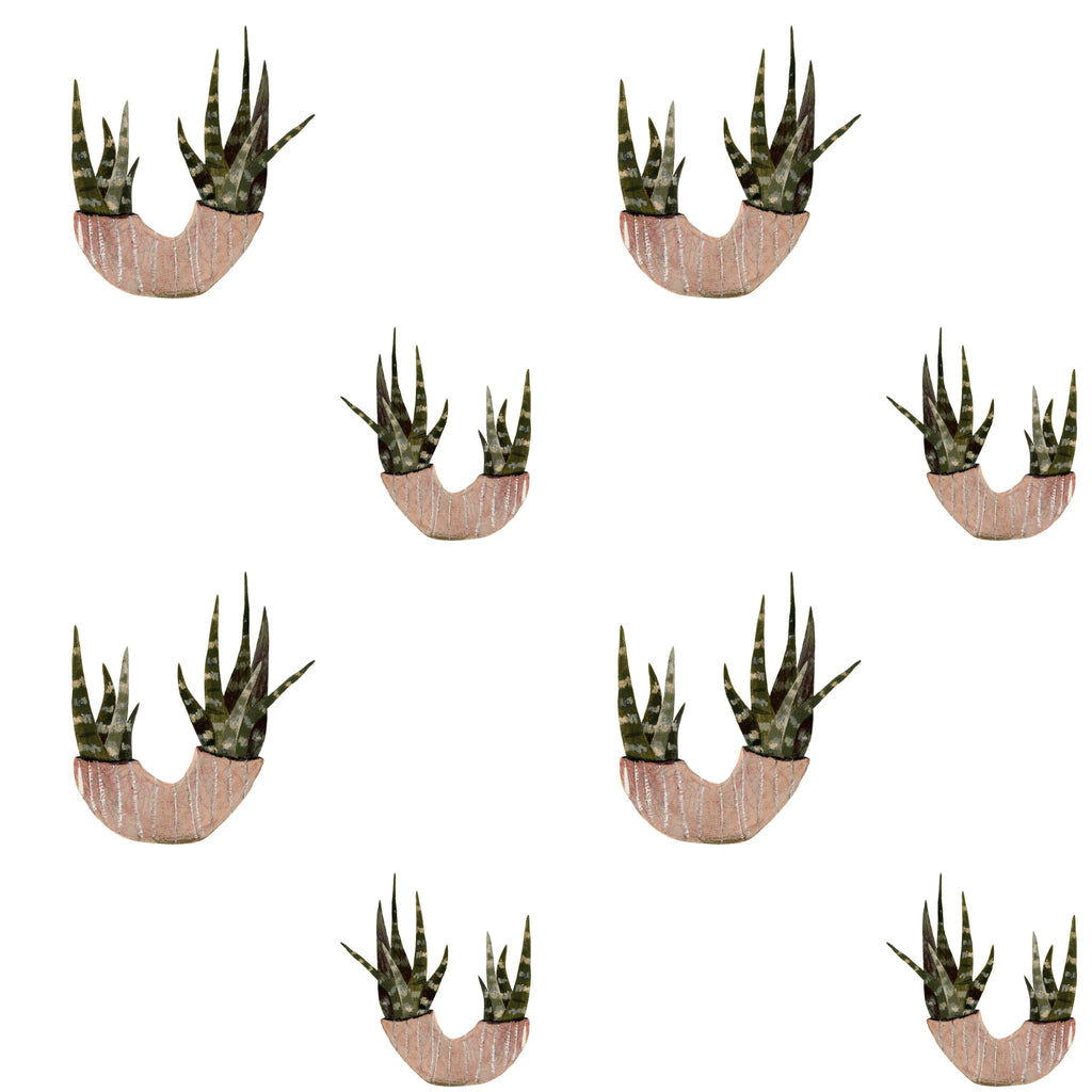 Desert Planters, peel and stick wallpaper, minimal watercolor succulents in textured clay planters repeat across a clean