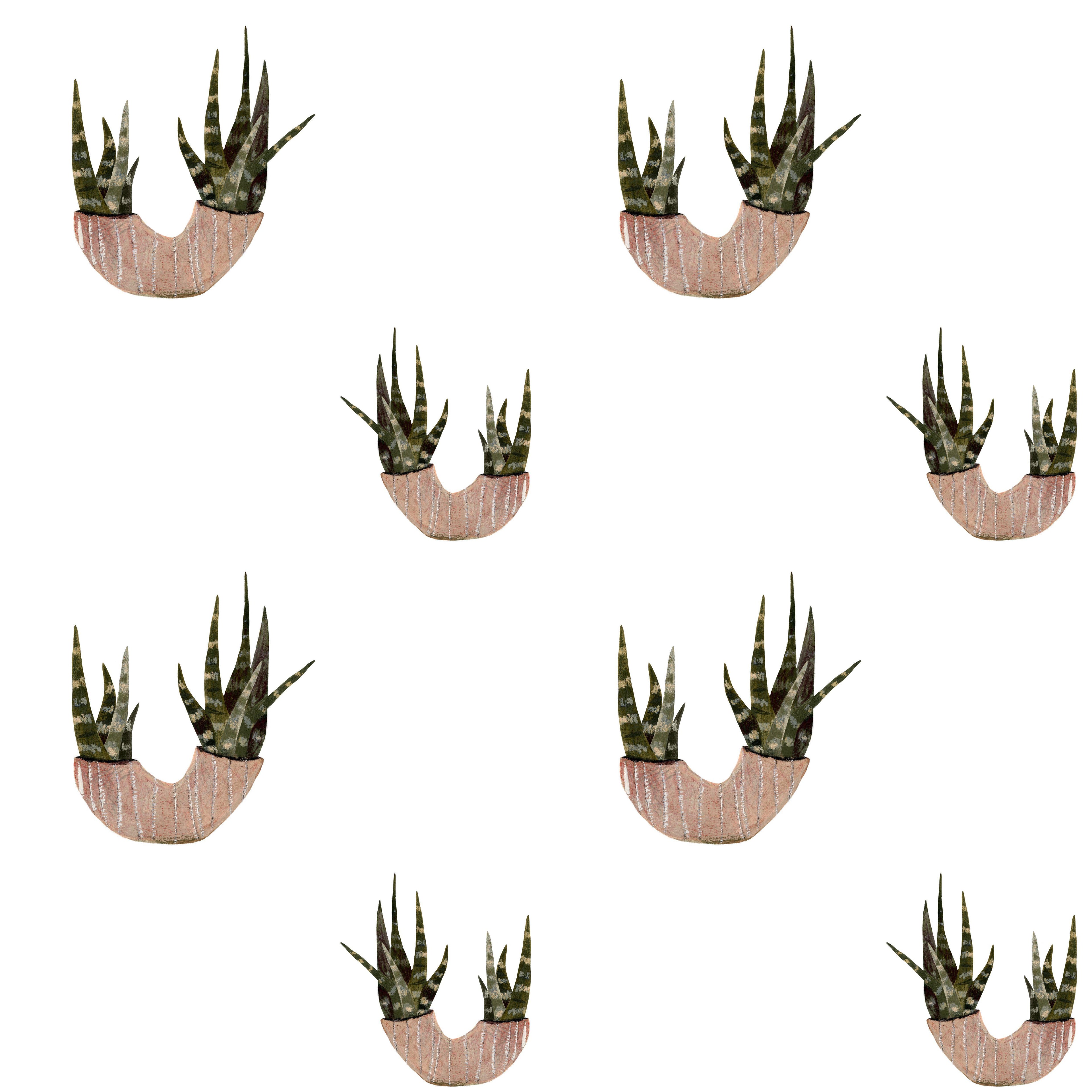 Desert Planters