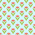 Coral Tulips