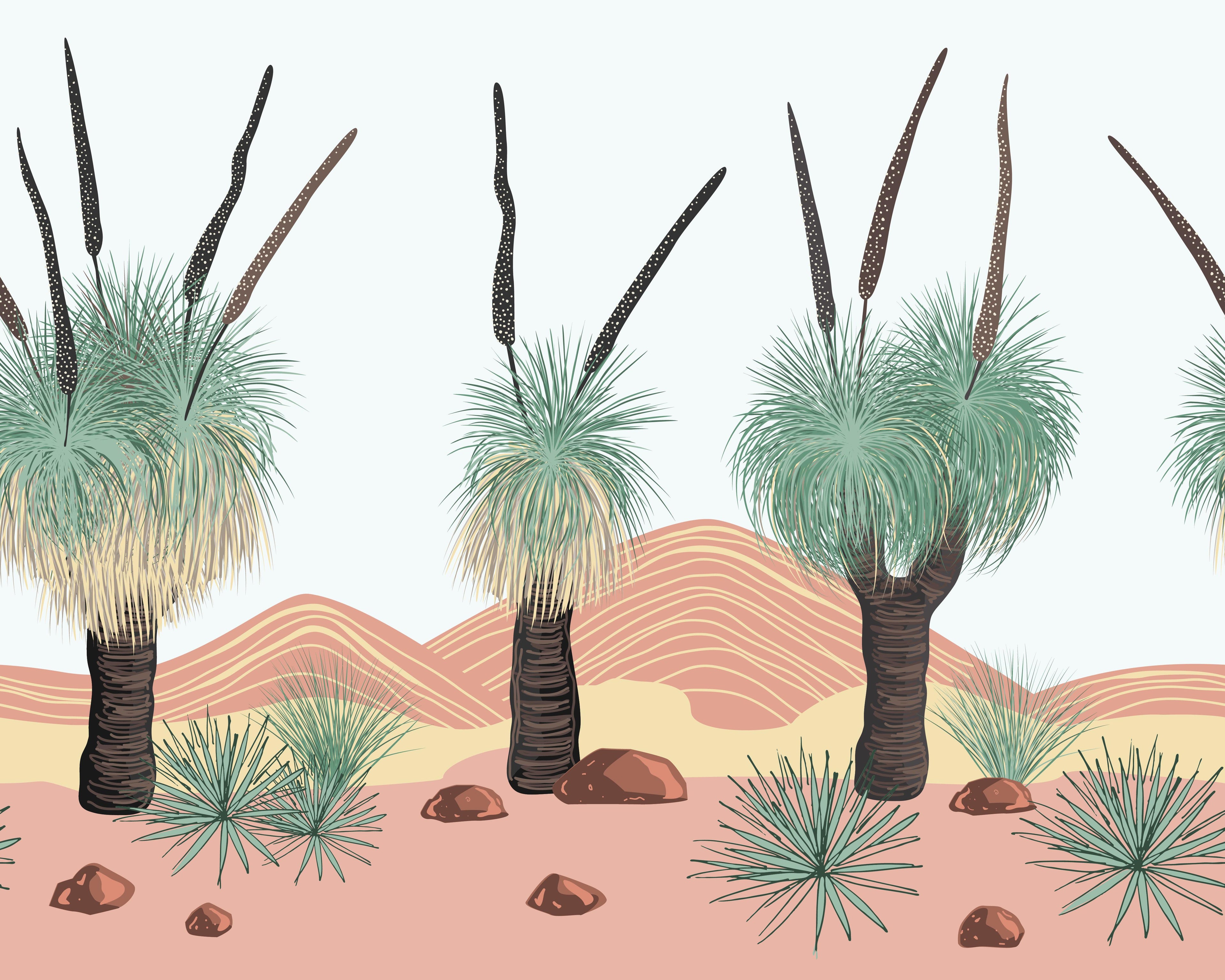 Desert Palms