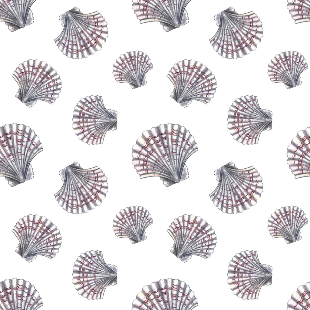Scallop Pattern, peel and stick wallpaper, classic scallop shells repeat across a clean neutral background