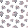 Scallop Pattern
