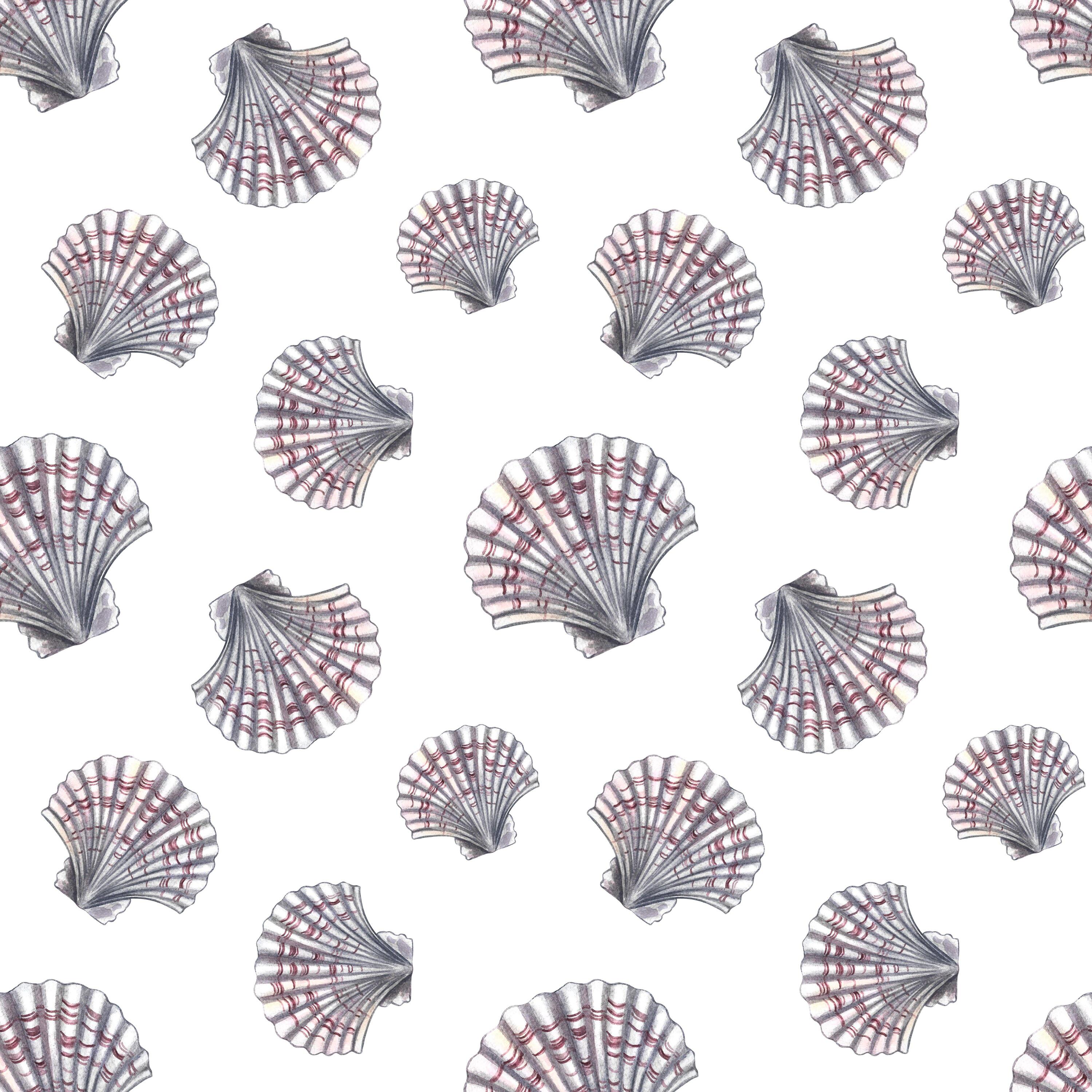 Scallop Pattern