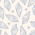 Shell Sketch