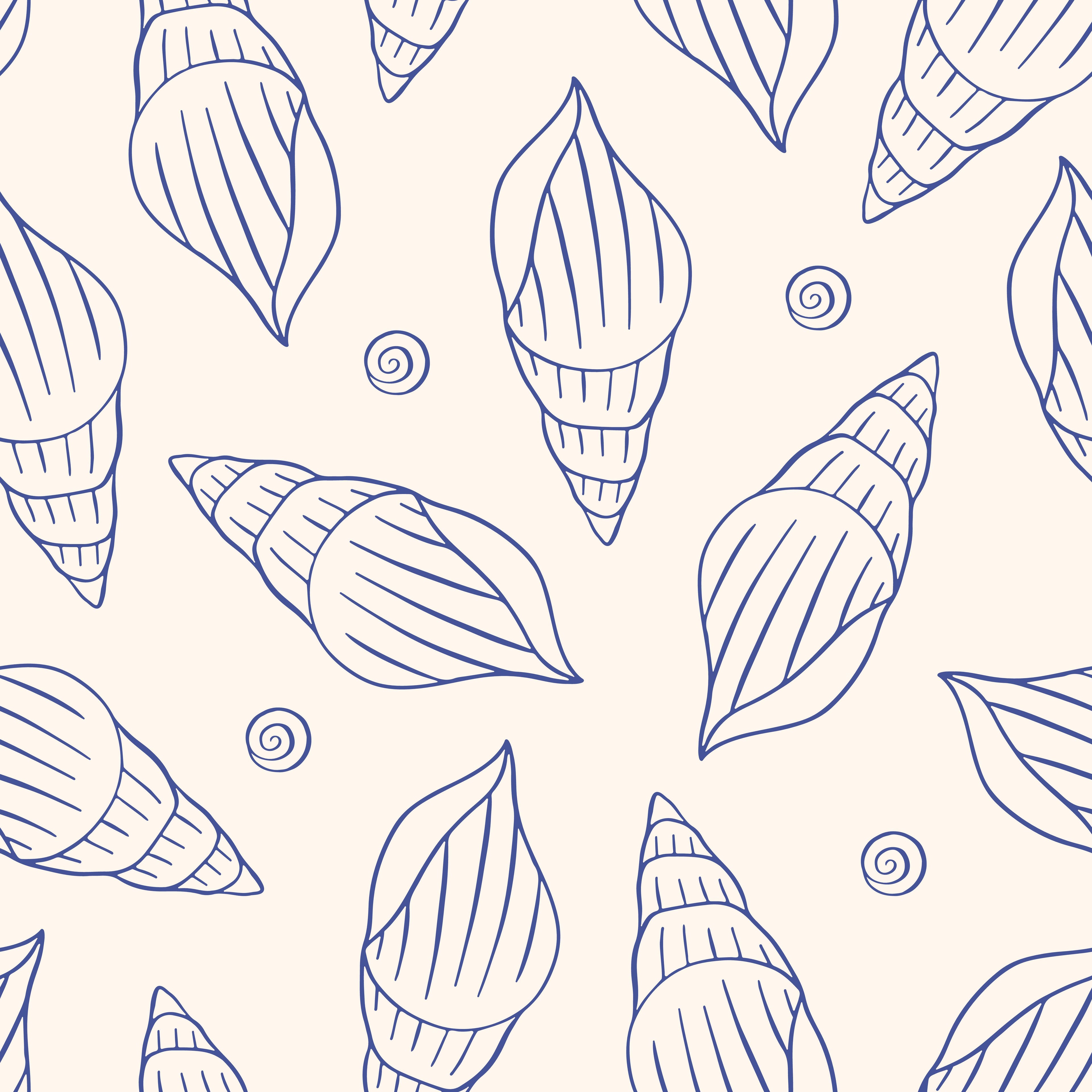 Shell Sketch