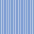 Sky Pinstripe