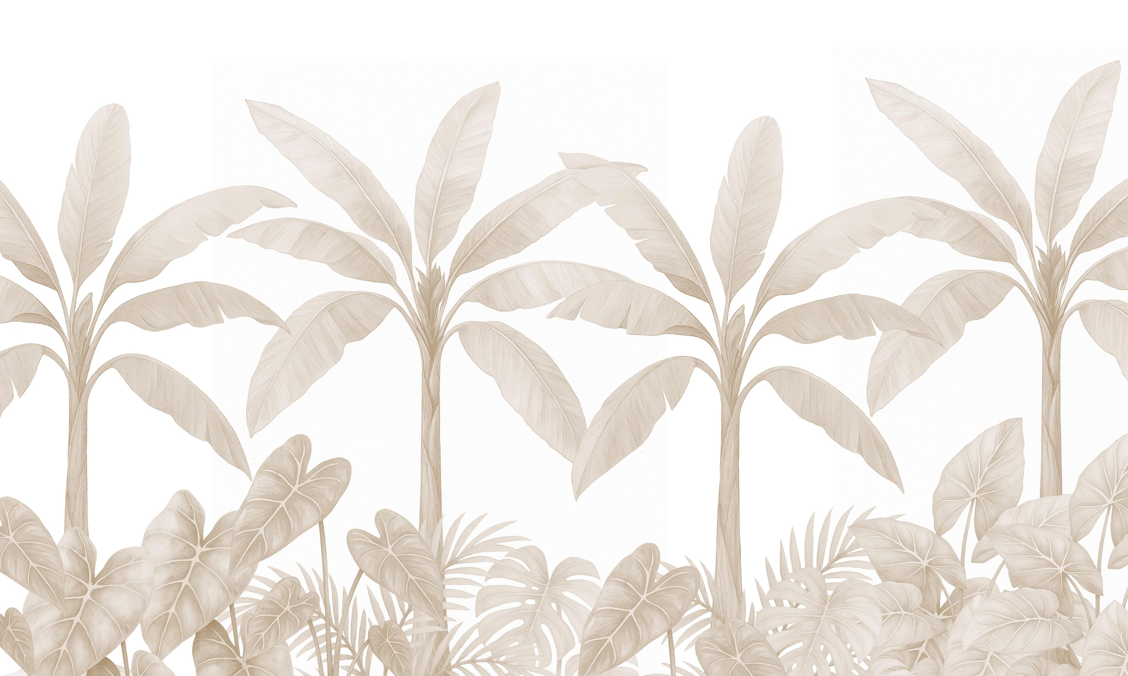 Desert Palms
