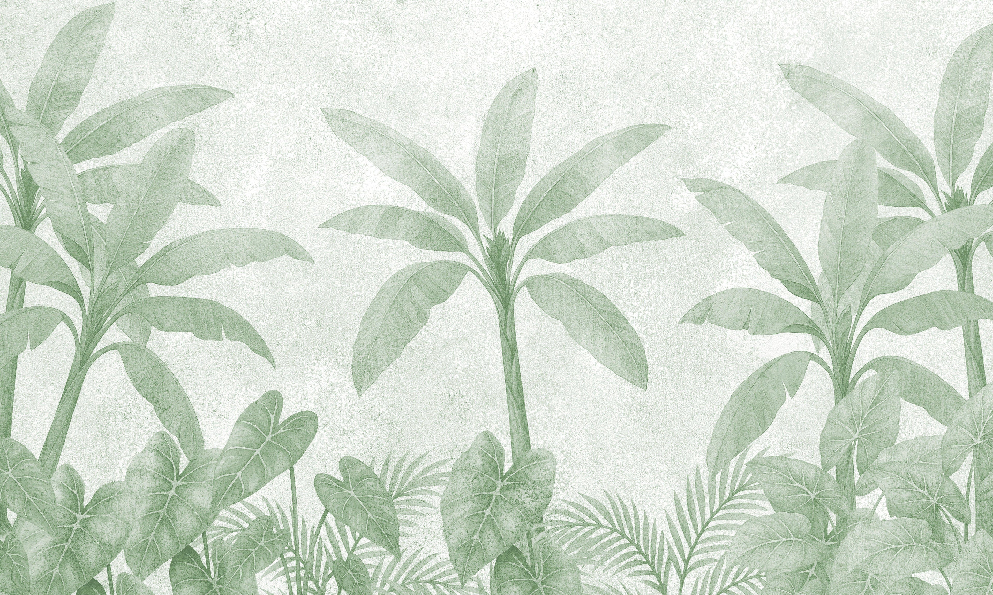 Mint Palms