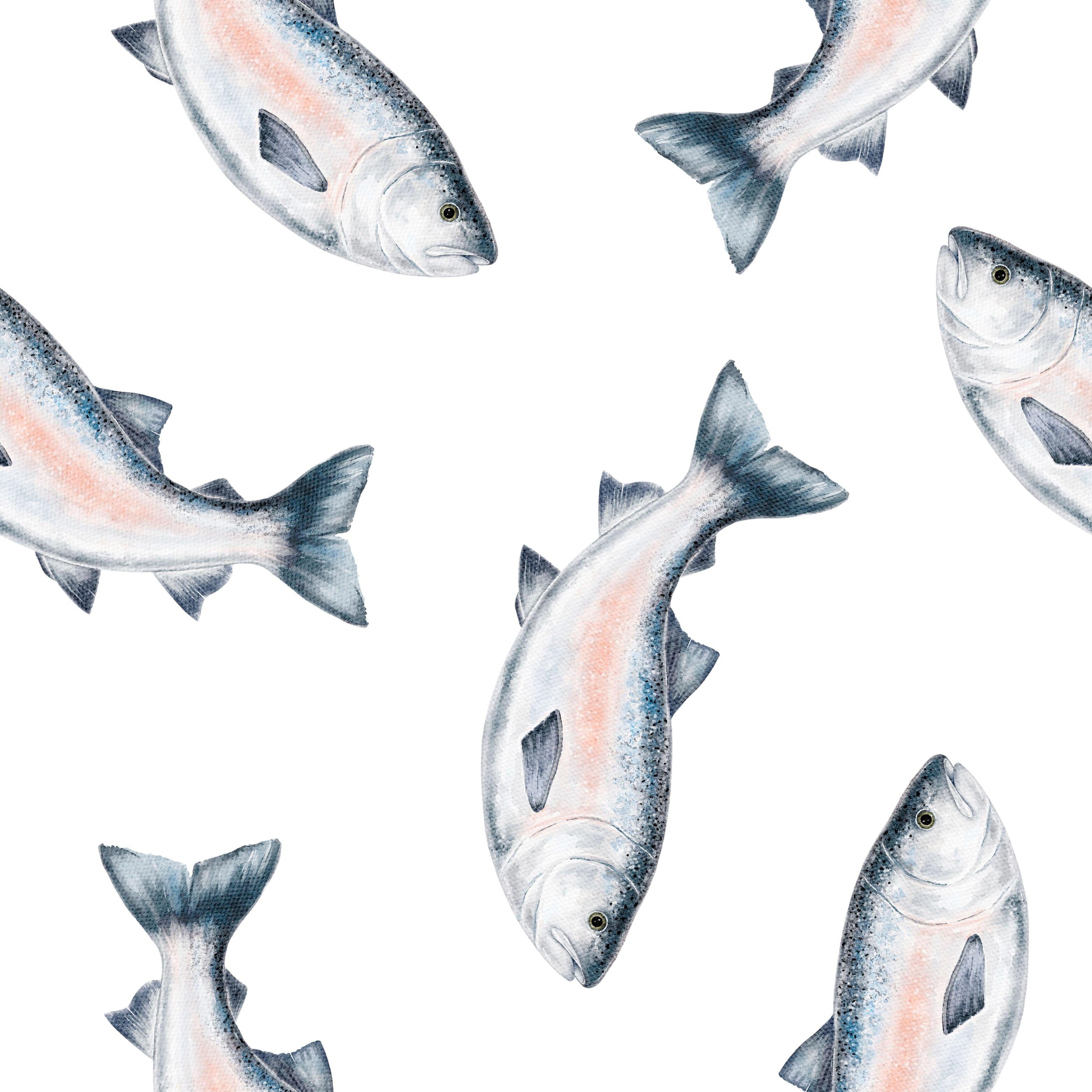 Silver Shoal