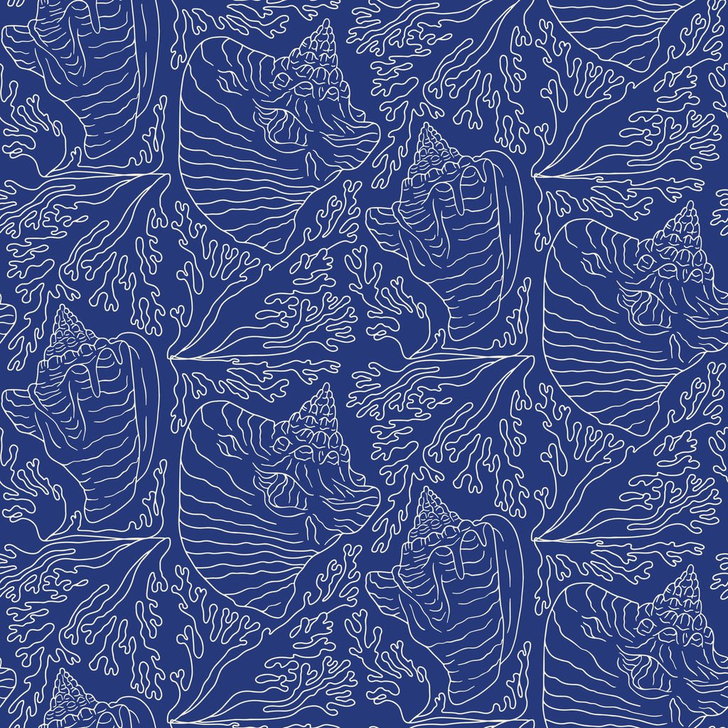 Ocean Etchings, peel and stick wallpaper, walls with elegant ocean inspired line art featuring conch shells and flowing