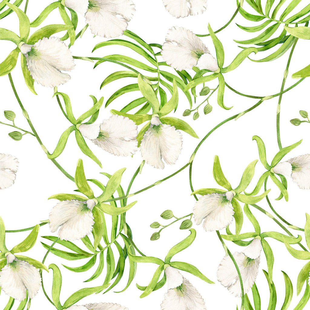 Orchid Cascade, peel and stick wallpaper, delicate orchid blossoms and flowing green stems create a light botanical