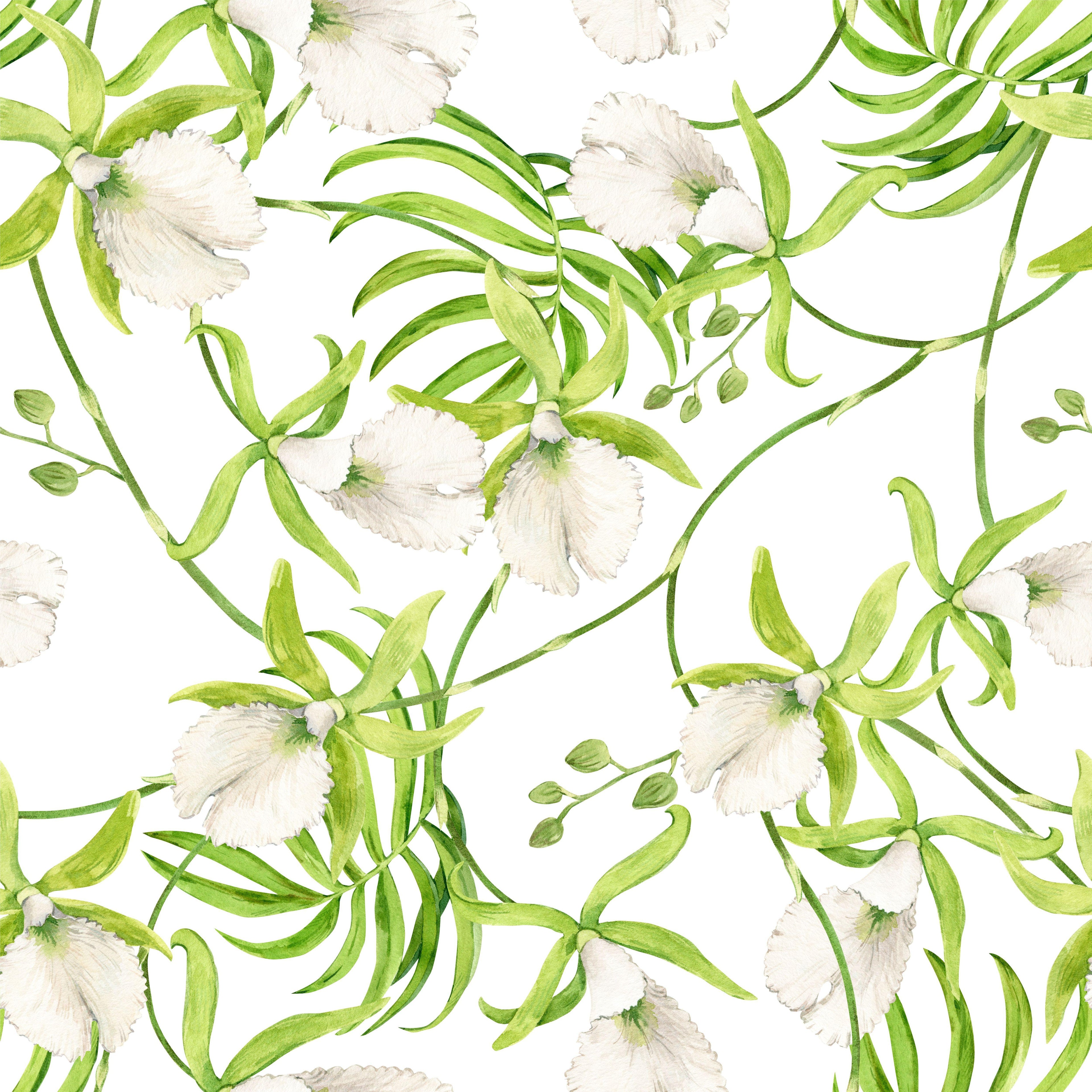 Orchid Cascade
