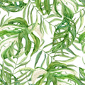 Monstera Layers
