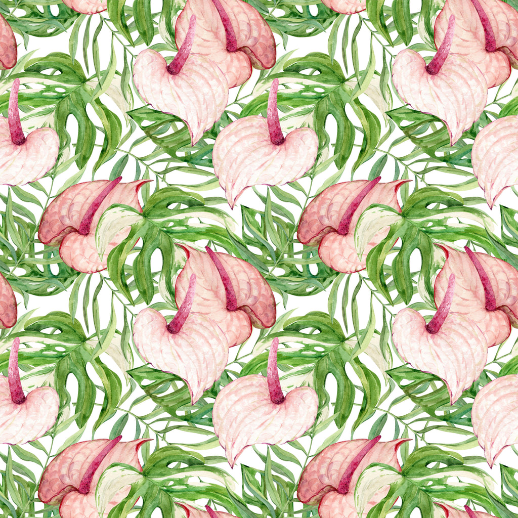 Blush Anthurium, peel and stick wallpaper, soft pink anthurium blooms layered with lush tropical leaves