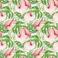 Blush Anthurium