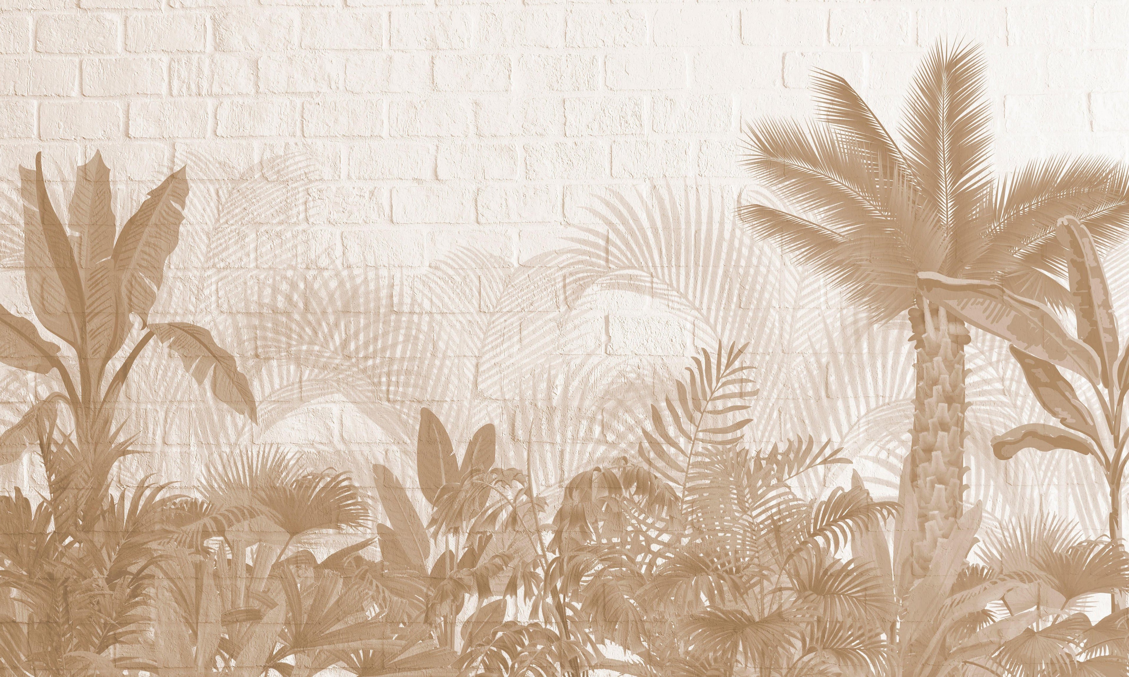 Palm Shadows