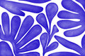 Indigo Botanica