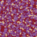 Violet Meadow