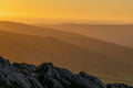 Amber Vista
