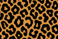 Safari Spots