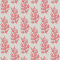 Coral Garden