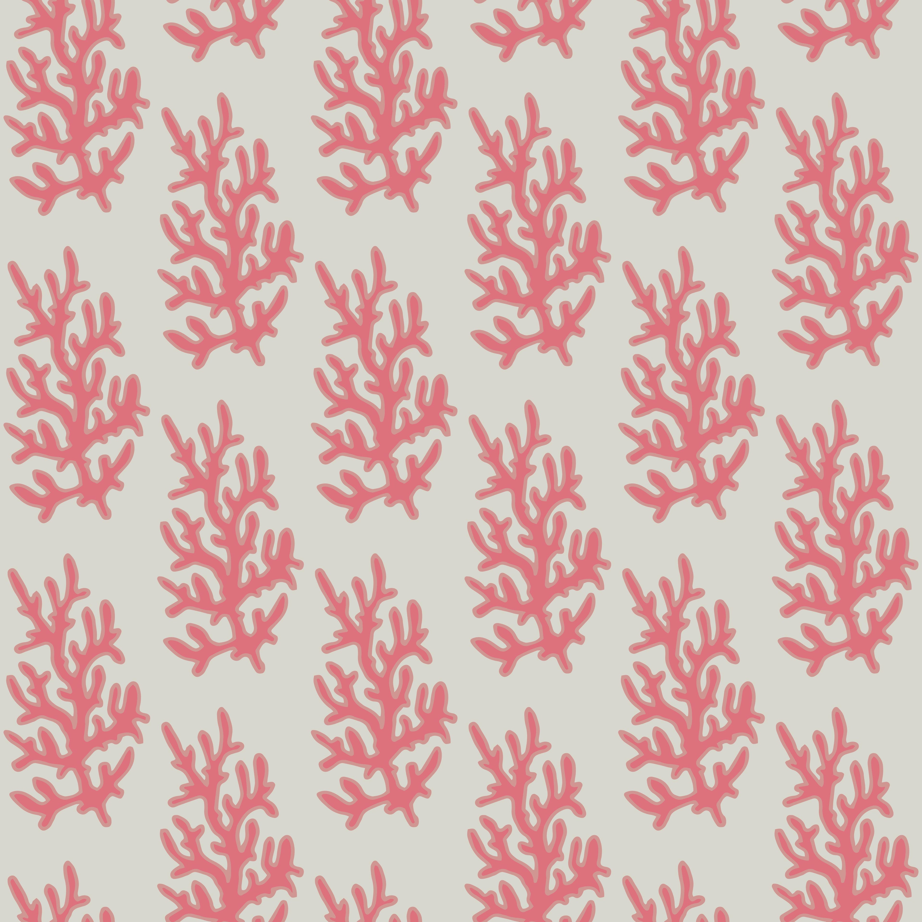 Coral Garden