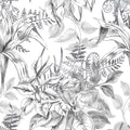 Sketch Jungle wallpaper with black sketched tropical leaves on white