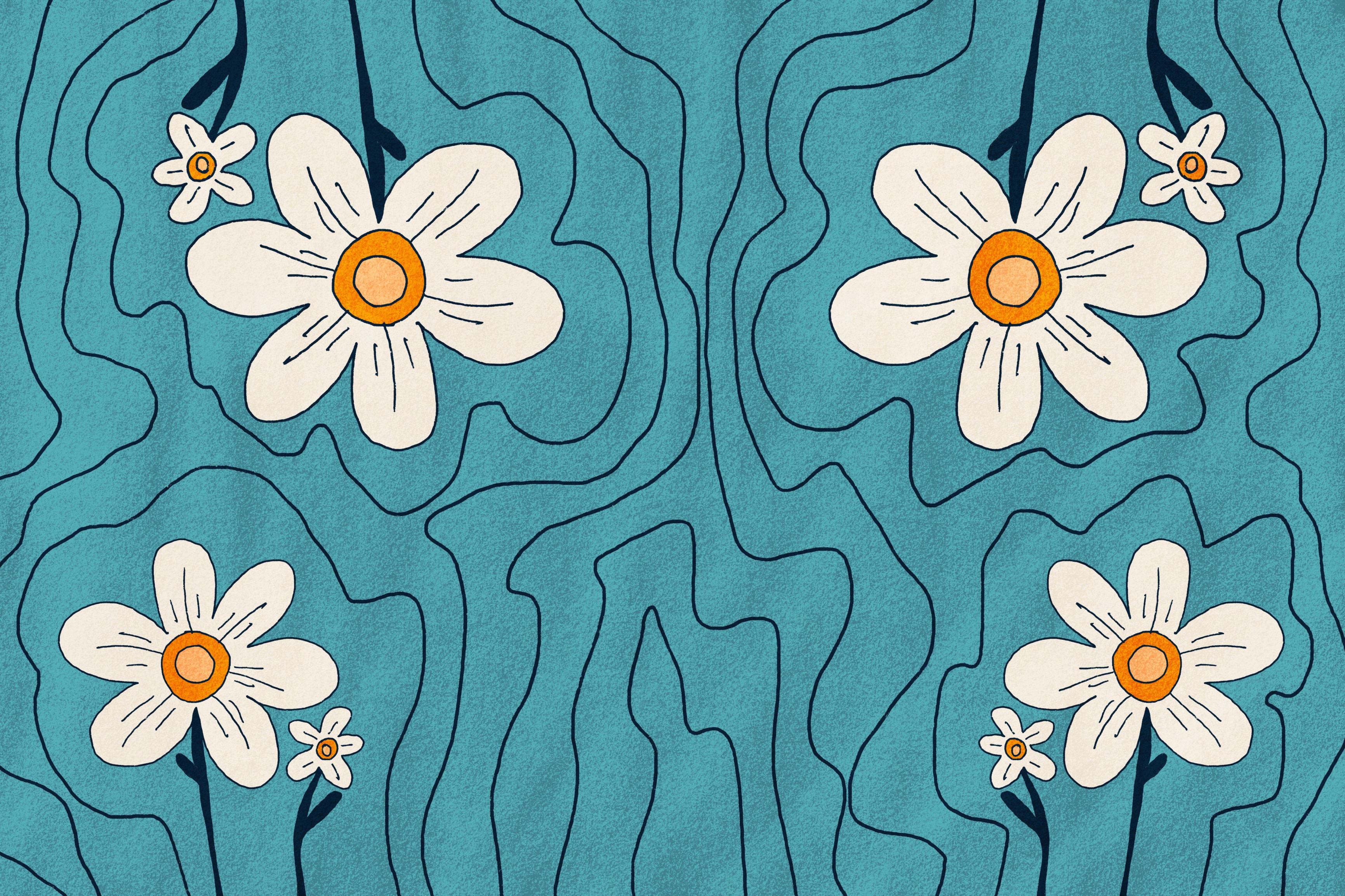 Daisy Pond wallpaper with white daisies on teal