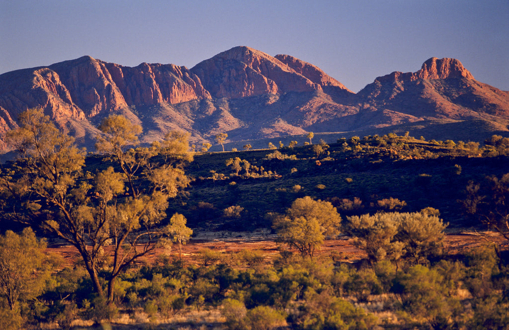 Desert Majesty, wallpaper mural, sunlit red mountains rise above open plains, glowing with desert warmth and clarity