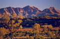 Desert Majesty