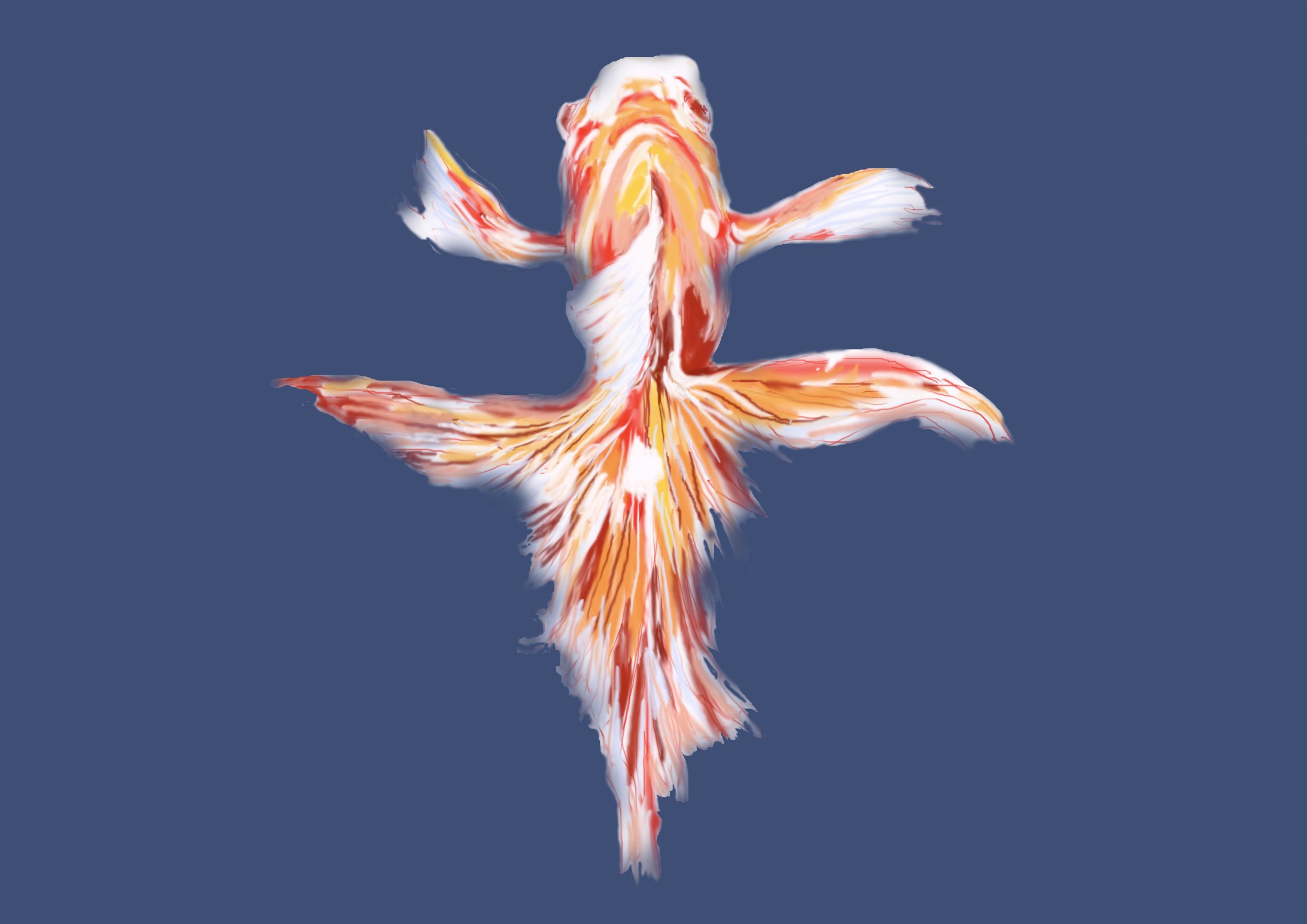 Koi Grace wallpaper with an orange koi fish on blue-grey