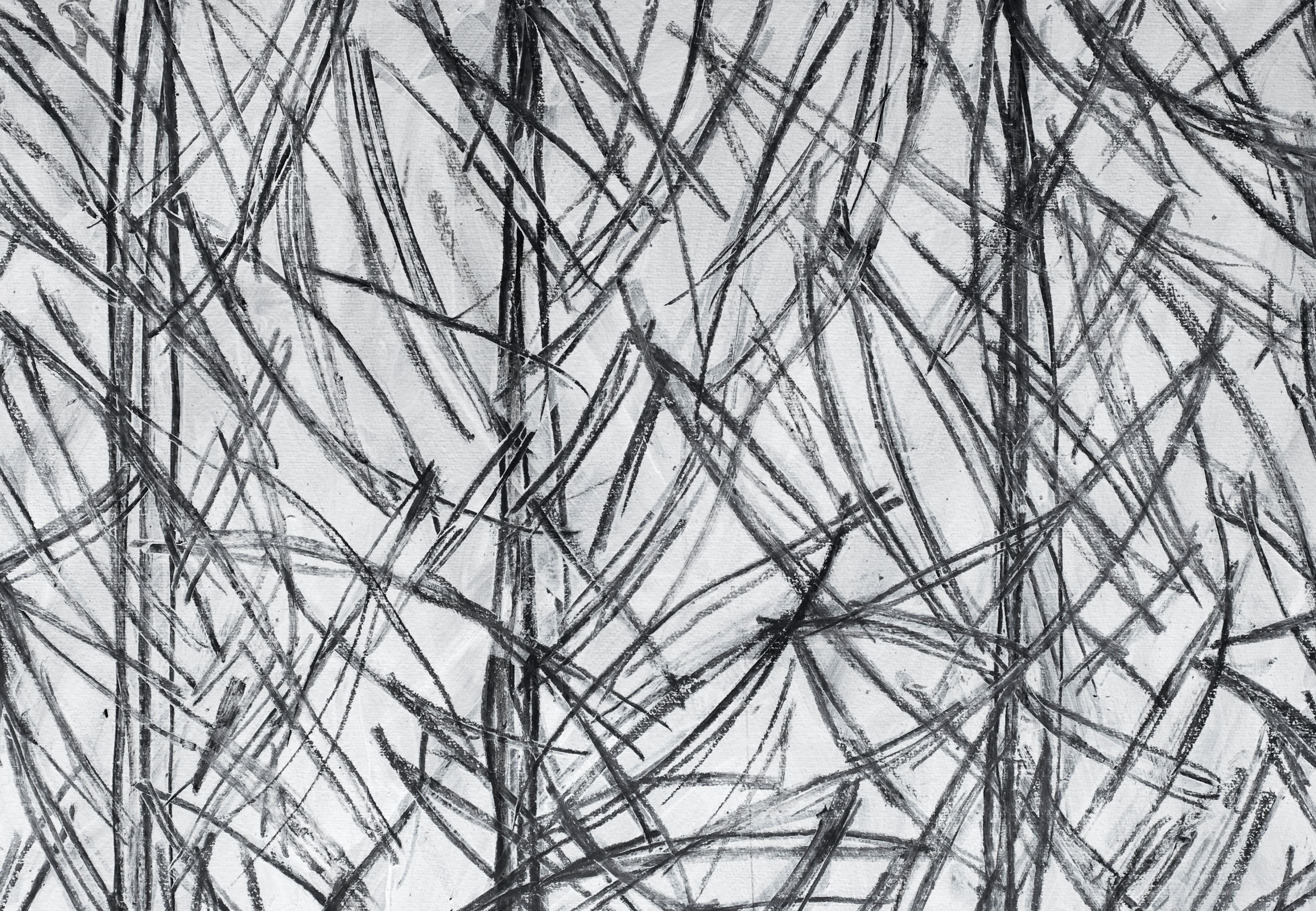 Charcoal Grass wallpaper with charcoal strokes on white