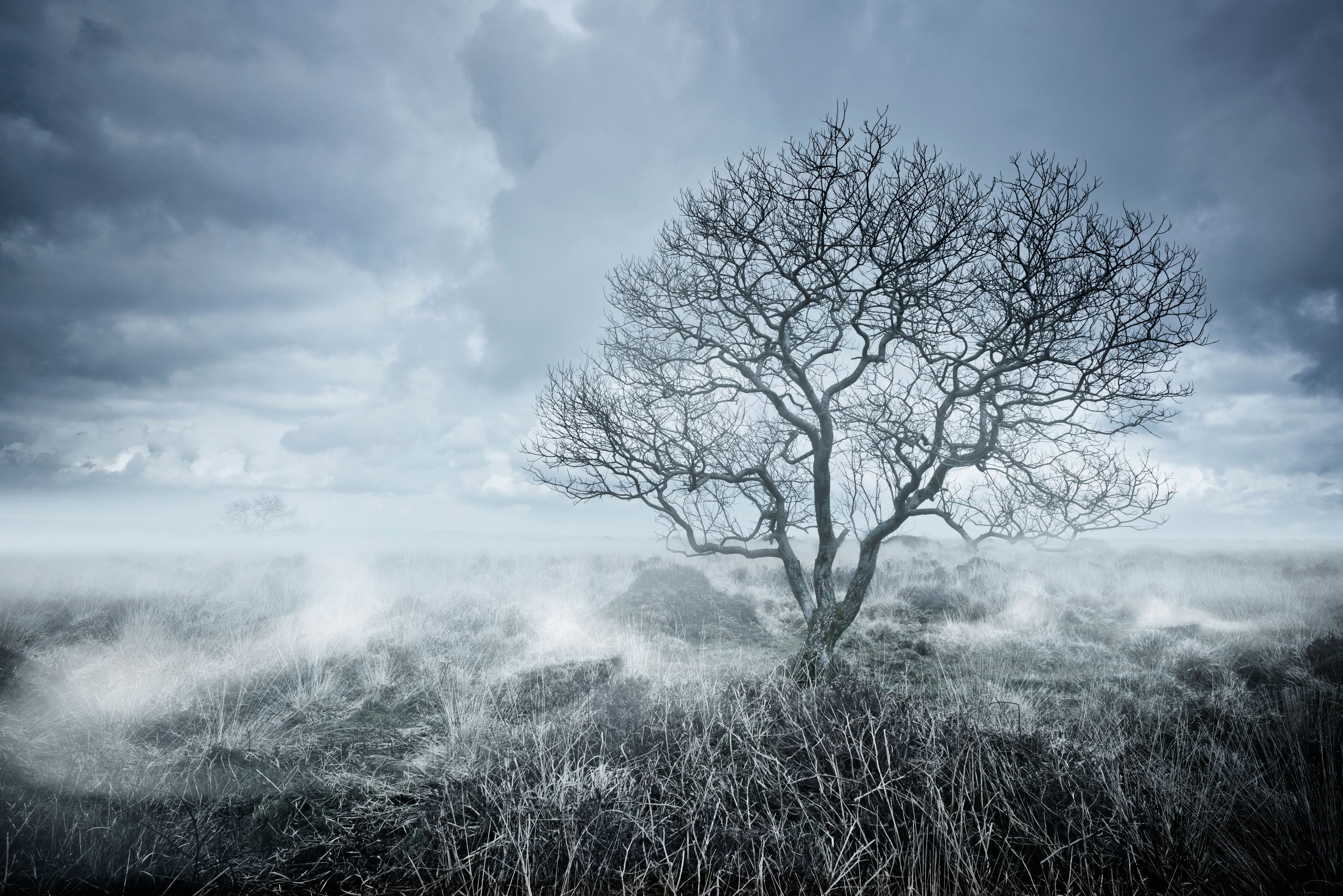 Silent Moor