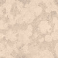 Sandstone Calm