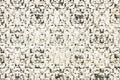 Mosaic Echo