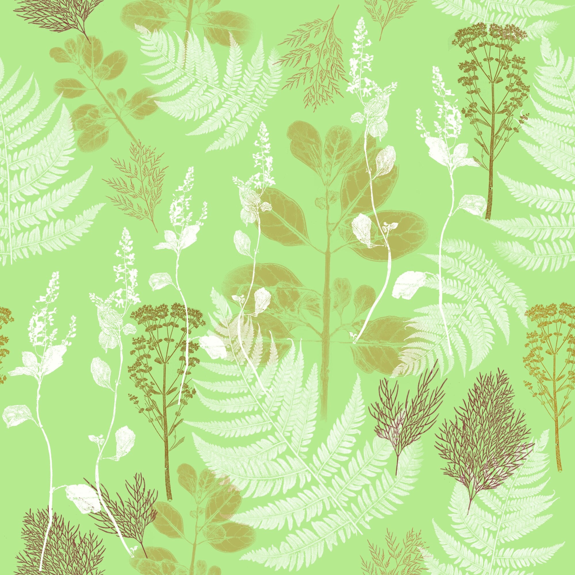 Garden Fern Wallpaper – Pistachio