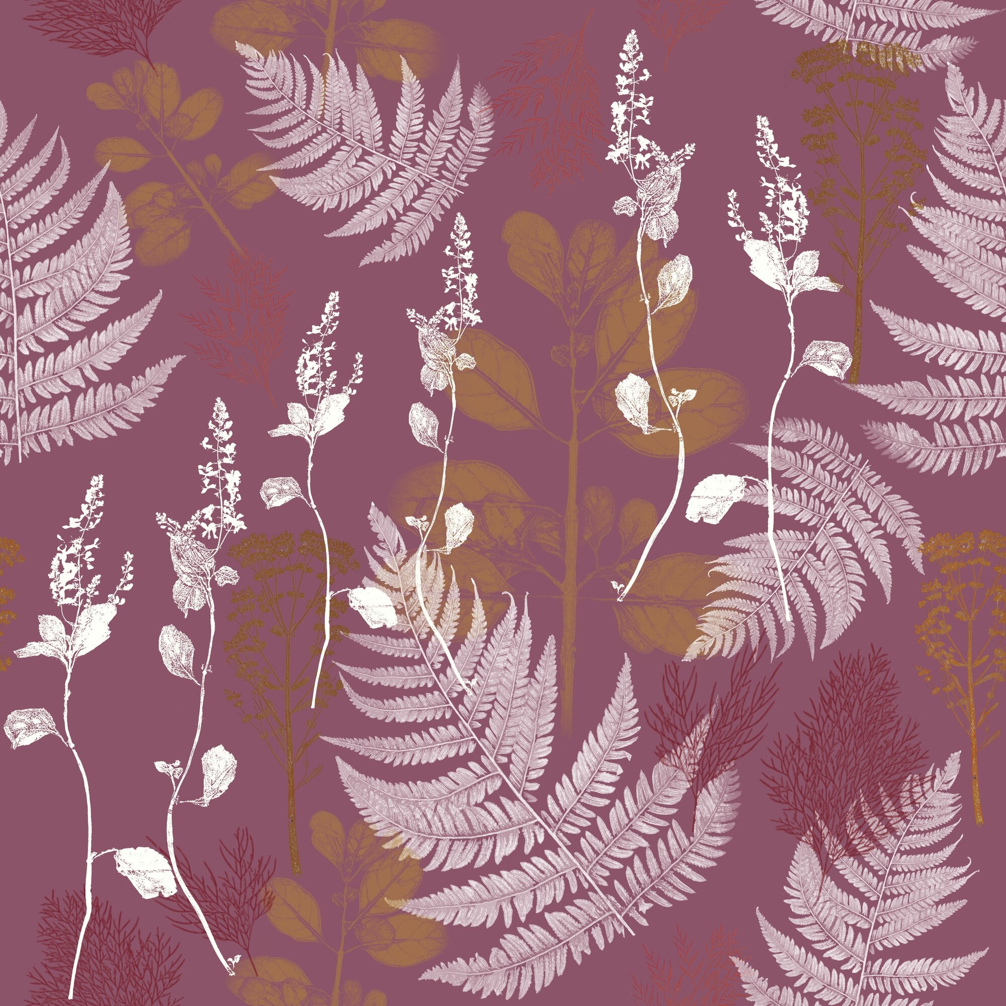 Garden Fern Wallpaper – Rose